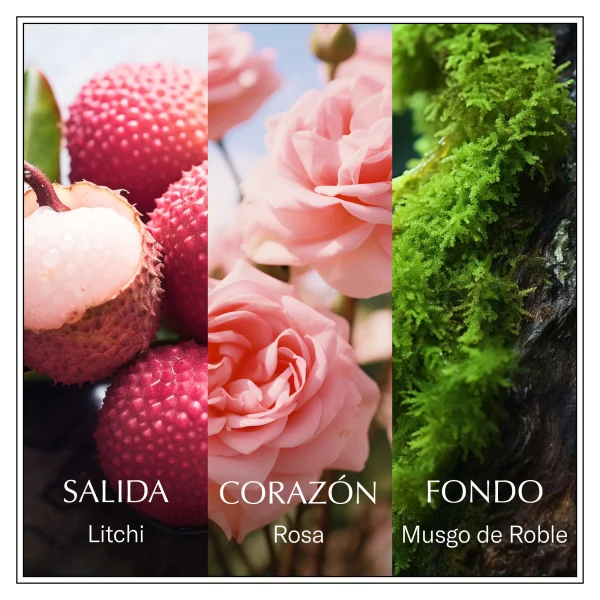 CHANSON Les Eaux du Monde Rose EDT - Imagen 3